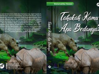 Tahukah Kamu, Apa Bedanya?